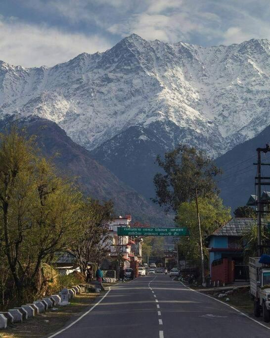 Aroma Taru Villa / Cottage ,Manali Buitenkant foto