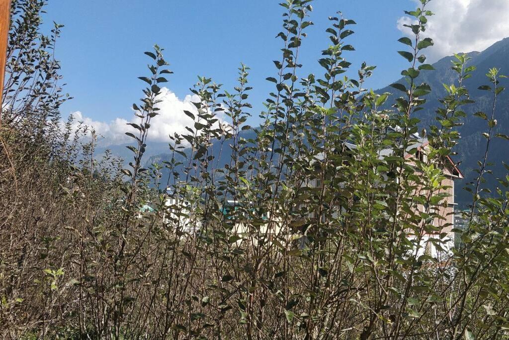 Aroma Taru Villa / Cottage ,Manali Buitenkant foto