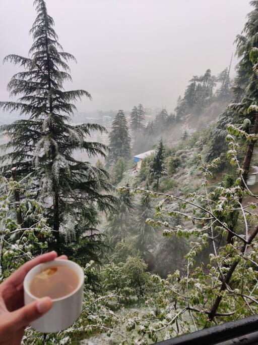 Aroma Taru Villa / Cottage ,Manali Buitenkant foto