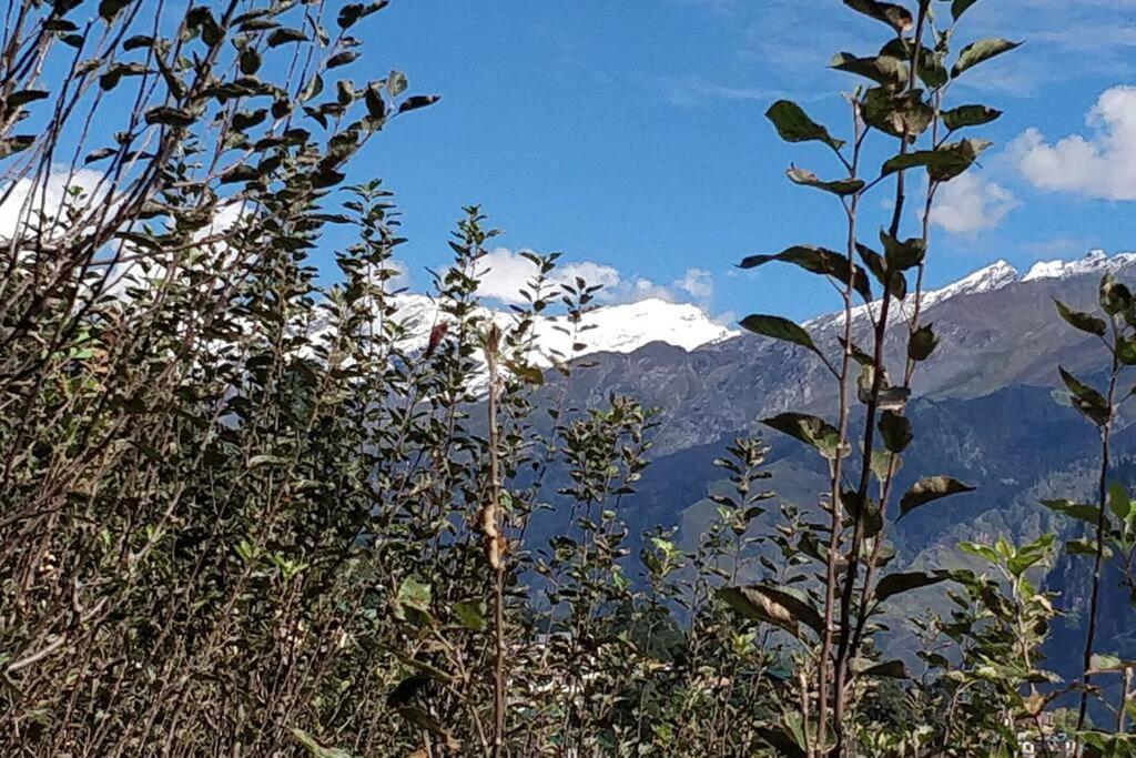 Aroma Taru Villa / Cottage ,Manali Buitenkant foto